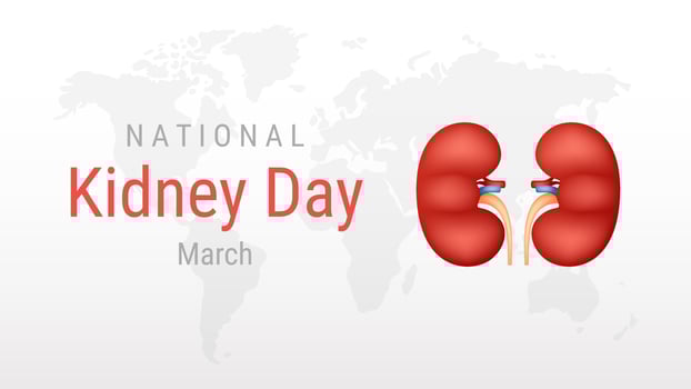 World Kidney day on white background vector