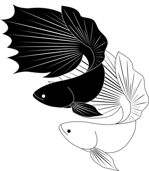 two betta fish white and black png
