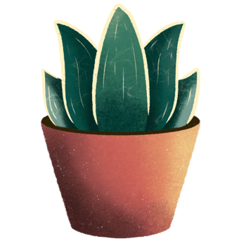 Snake plant in ceramic pot. Potted Sansevieria plant. Popular houseplant mother in law tongue. Dracaena trifasciata. png