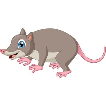 Cute opossum cartoon on white background vector