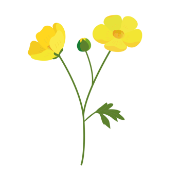 flower element cartoon in flat style png