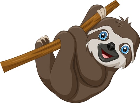 Cute baby sloth cartoon hanging on tree branch vector