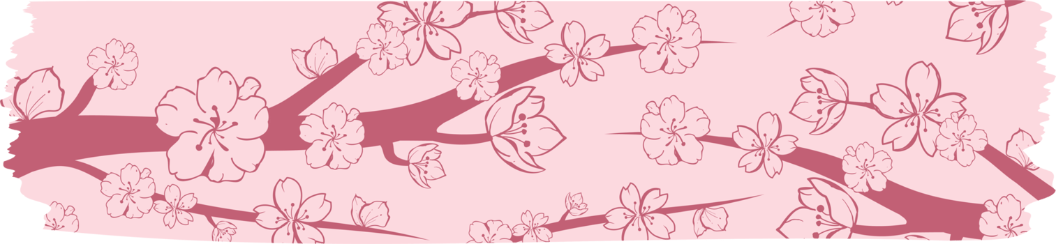 Washi tape with sakura or cherry blossom pattern, Washi tape sakura design illustration png