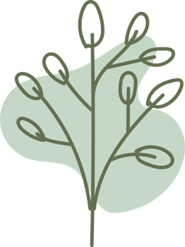 Handdrawn floral lineart with organic shape, Leaves element illustration for design png