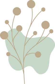Handdrawn floral lineart with organic shape, Leaves element illustration for design png