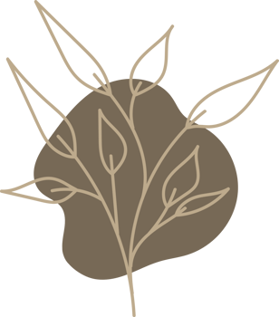 Handdrawn floral lineart with organic shape, Leaves element illustration for design png