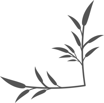 Floral corner shapes, Leaves border frame illustration png