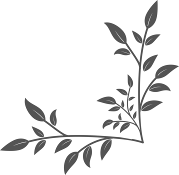 Floral corner shapes, Leaves border frame illustration png