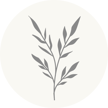 Floral icon with pastel color, Flower minimal illustration png