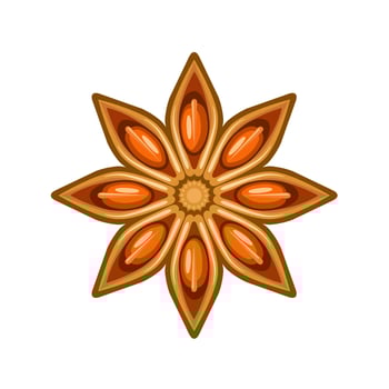 Vector illustration of star anise, isolated on white background.