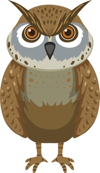 Front of owl in cartoon style vector