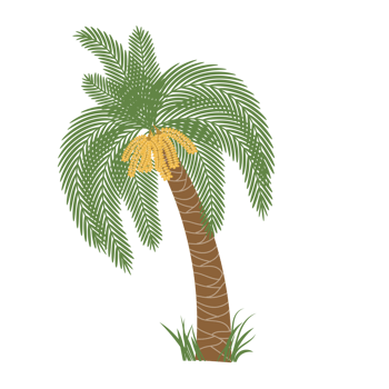 Date palm tree with ripe fruits dates png