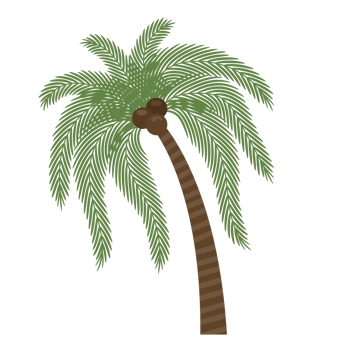 coconut tree, palm tree illustration png
