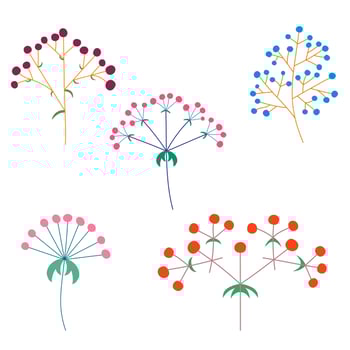 Vector set of flower inflorescences of plants on the stem. Flat style.