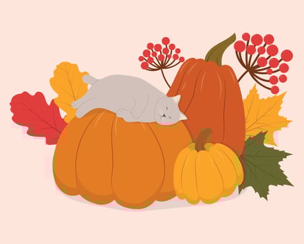 Cute cartoon cat sleeping on a pumpkin. vector