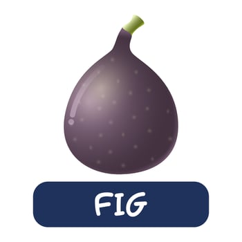 cartoon fig fruit vector isolated on white background