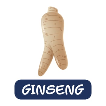 cartoon ginseng vegetables vector isolated on white background