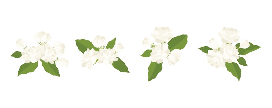 Hand drawn collection of jasmine flower illustration. vector