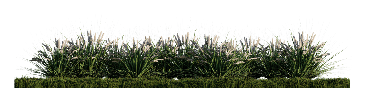 A 3d rendering image of a lot of grass flower on green grass field png