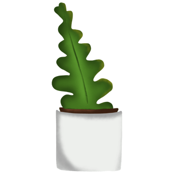 Cactus Plant in Pot png