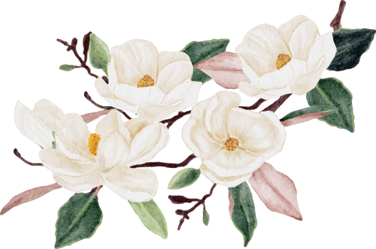 watercolor white magnolia flower and leaf branch bouquet png