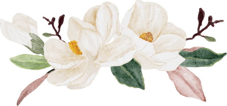 watercolor white magnolia flower and leaf branch bouquet png