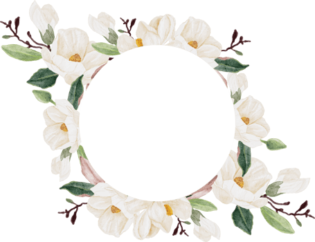 watercolor white magnolia flower branch bouquet square banner background png