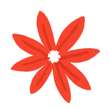 Red Flower Illustration png