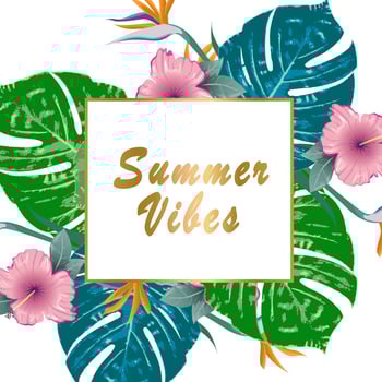Summer Vibes. Summer green tropical flyer design with tropical flowers and monstera leaves. Frame design. Copy space vector