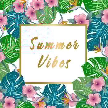 Summer Vibes. Summer green tropical flyer design with tropical flowers and monstera leaves. Frame design. Copy space vector