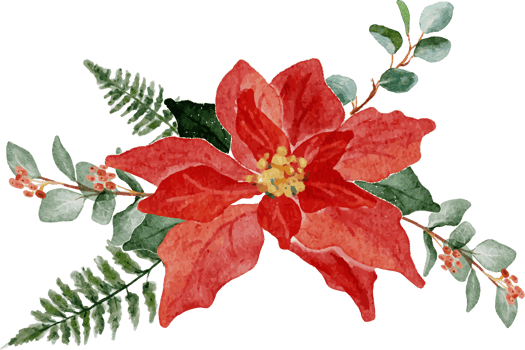 watercolor christmas poinsettia flower bouquet elements png