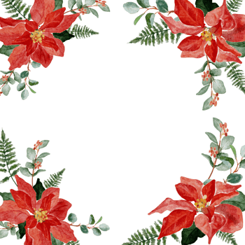 watercolor red poinsettia flower bouquet gold glitter frame banner background png
