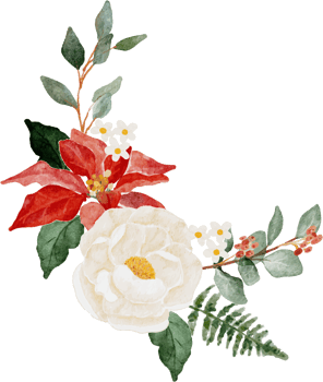 watercolor christmas flower bouquet wreath collection png