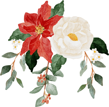 watercolor christmas flower bouquet wreath collection png