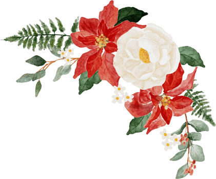 watercolor christmas flower bouquet wreath collection png