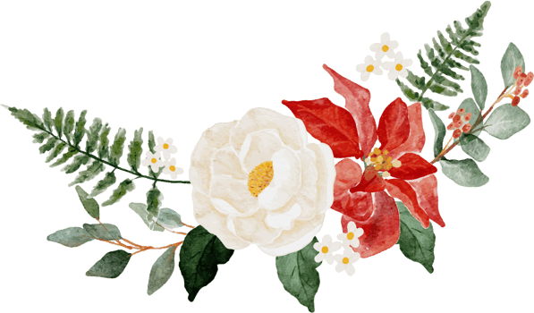 watercolor christmas flower bouquet wreath collection png