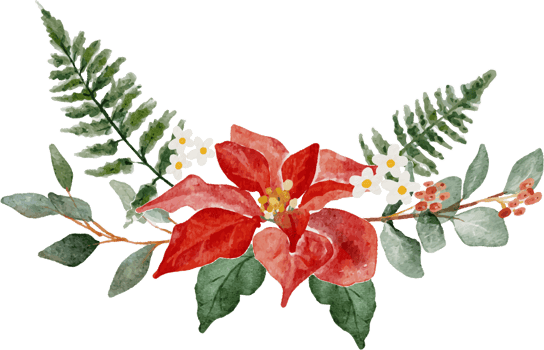 watercolor christmas flower bouquet wreath collection png