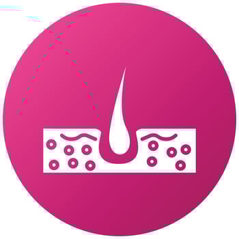 Skin Hair Icon Style vector