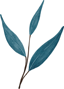 watercolor abstract leaves png