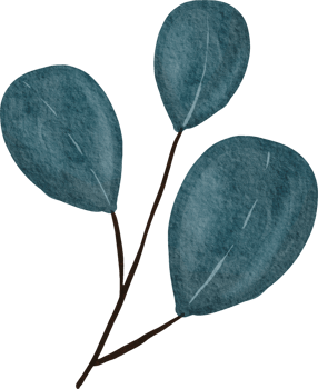 watercolor abstract leaves png