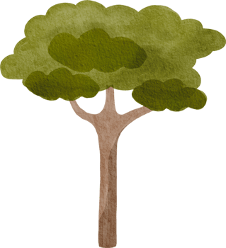 Watercolor cute tree png