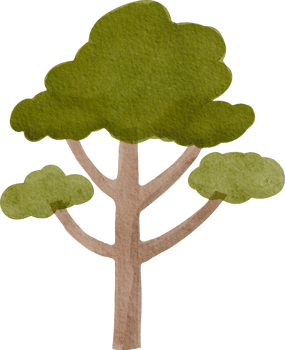 Watercolor cute tree png