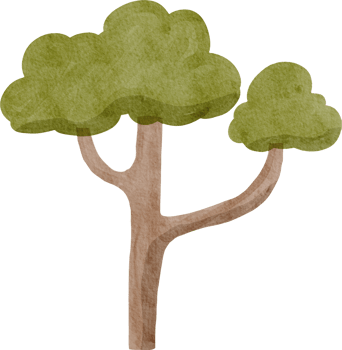 Watercolor cute tree png