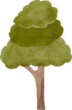Watercolor cute tree png
