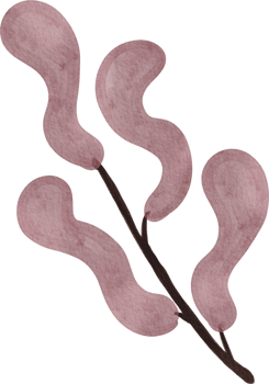 watercolor leaves abstract png