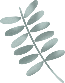 watercolor tree branch png