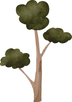 Watercolor cute tree png