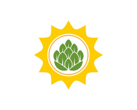 Shinning sun with beer hops inside vector