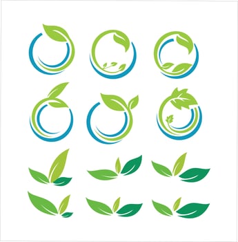 Set of green Leaf design element vector