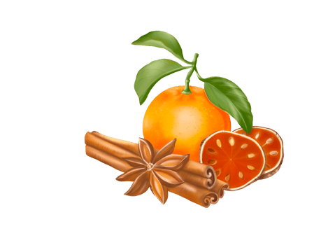 The illustration and isolate image of Orange, Cinnamon, Anise and dry Quinces, hand drawn, autumn mood.g png